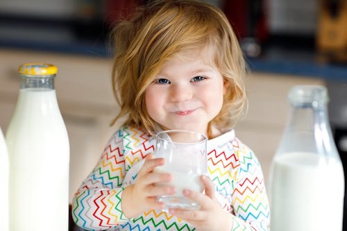 Adorable toddler girl drinking cow milk for breakfast. Cute baby daughter with lots of bottles. Healthy child having milk as health calcium source. Kid at home or nursery in the morning.